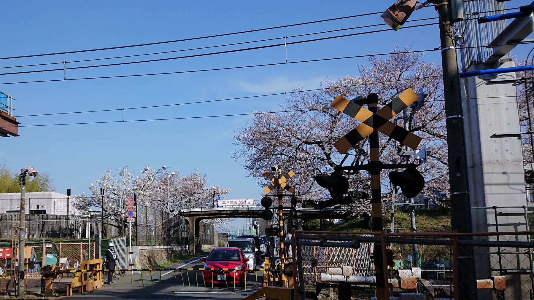 淡路駅のシェアオフィス・レンタルオフィス淡路駅前ラボ近くの柴島浄水場の桜